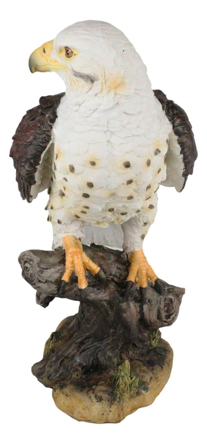 Ebros Wildlife Red Tailed Hawk On Tree Stump Statue Birds Of Prey Figurine 10"H