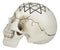 Spiritual Sacred Geometry Sri Yantra Shri Chakra Vastu Symbol Skull Figurine