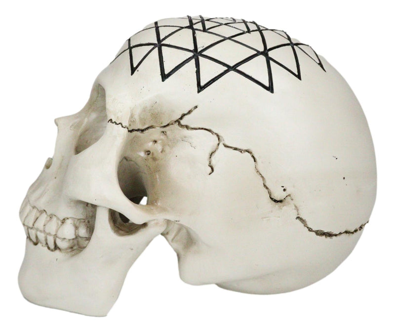 Spiritual Sacred Geometry Sri Yantra Shri Chakra Vastu Symbol Skull Figurine