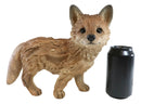 Ebros Realistic Faux Driftwood Finish Snooping Baby Fox Cub Resin Statue 10.5" L