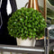 Home Garden 12"H Green Artificial Faux Foliage Boxwood Topiary Ball In Vase Pot