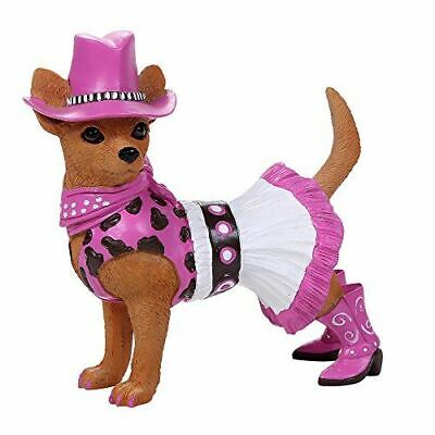 Adorable Western Cowgirl Chihuahua Collection Cute Chihuahua In Costume Dog Coll