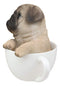 Realistic Adorable Pug Dog Teacup Statue 5.5" Tall Pet Pal Puppy Pugs Figurine