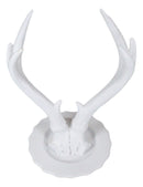 Contemporary Chic Rustic White Double Buck Deer Stag Antlers Jewelry Tree Holder