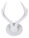 Contemporary Chic Rustic White Double Buck Deer Stag Antlers Jewelry Tree Holder