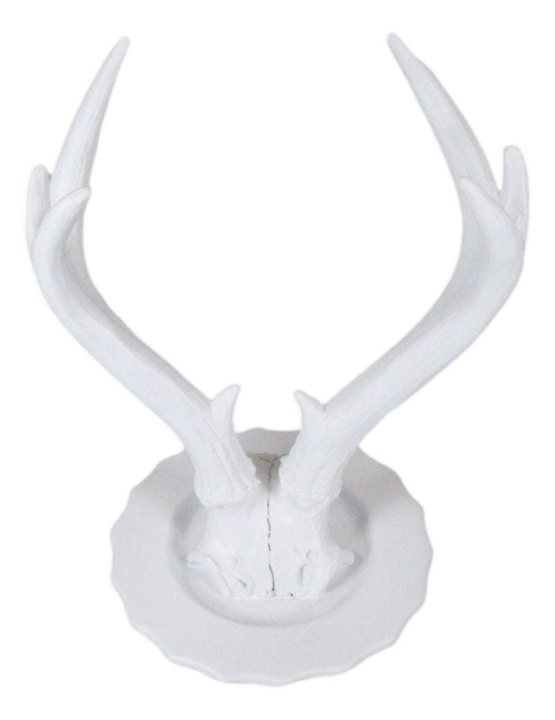 Contemporary Chic Rustic White Double Buck Deer Stag Antlers Jewelry Tree Holder
