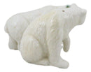 Arctic North Pole Polar Bears Couple Side By Side Ceramic Salt Pepper Shaker Set