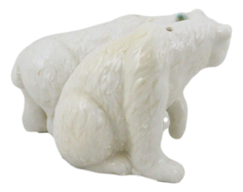 Arctic North Pole Polar Bears Couple Side By Side Ceramic Salt Pepper Shaker Set