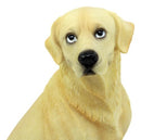 Sitting Adorable Yellow Labrador Retriever Statue 8.5"H Golden Retriever Dog