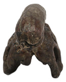 Faux Taxidermy Replica Parasaurolophus Dinosaur Head Fossil Small Skull Figurine