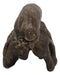 Faux Taxidermy Replica Parasaurolophus Dinosaur Head Fossil Small Skull Figurine