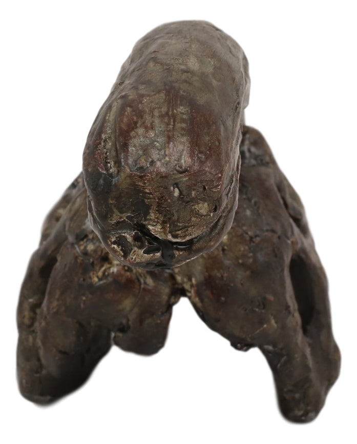 Faux Taxidermy Replica Parasaurolophus Dinosaur Head Fossil Small Skull Figurine