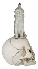 Gothic Full Moon Howling Gray Wolf Sitting On Graveyard Macabre Skull Figurine