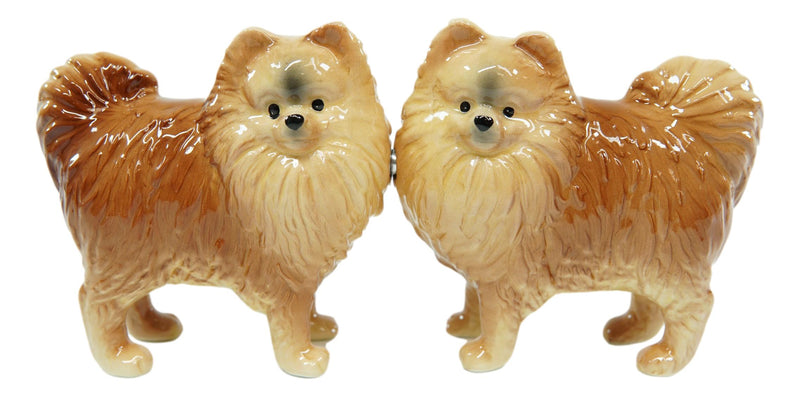 Ebros Pom Pom Golden Groomed Pomeranian Attractives Magnetic Salt Pepper Shakers