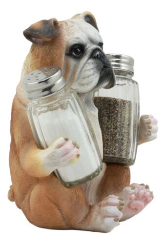 Ebros Big Bully English Bulldog Decorative Salt And Pepper Shakers Holder Set