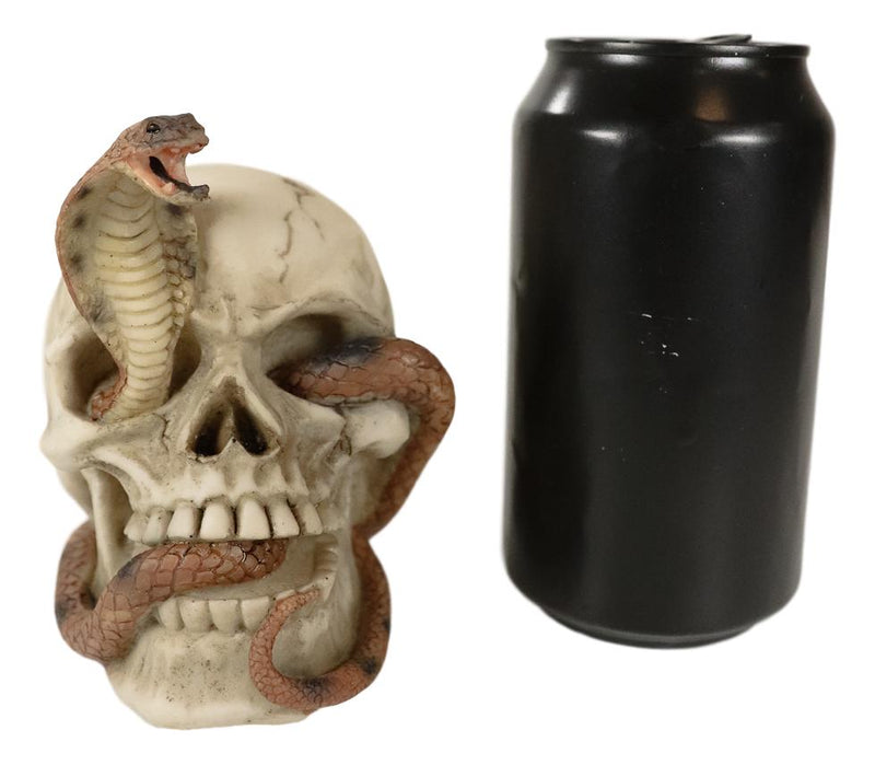 Ebros Cranium Skeleton Cobra Snake Habitat Skull Statue Figurine 4.25"H