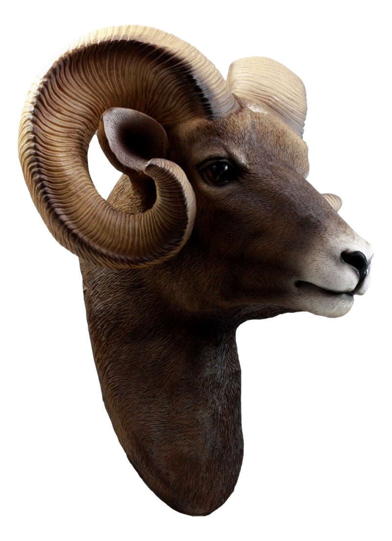 Rocky Mountains Bighorn Ram Trophy Taxidermy Wall Decor Sculpture Hanging Plaque