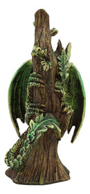 Ebros Dryad Gaia Tree Ent Earth Dragon Baby Wyrmling 5.25"H Figurine Anne Stokes