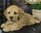 Realistic Adorable Cockapoo Spoodle Puppy Dog Lying On Belly Figurine Pet Pal