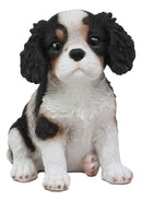 Ebros Adorable Cavalier King Charles Spaniel Dog Breed Statue 5.75"