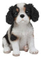 Ebros Adorable Cavalier King Charles Spaniel Dog Breed Statue 5.75"