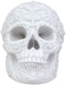 Ebros French Baroque Rococo White Floral Skull Statue Royal European 3D Skulls Decor