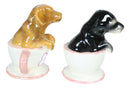 Black Chocolate Teacup Dachshund Puppies Puppy Love Ceramic Salt Pepper Shakers