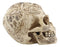 Ossuary Mayan Bone Cream Death Warrior Tribal Tattoo Skull Skeleton Figurine 4"H