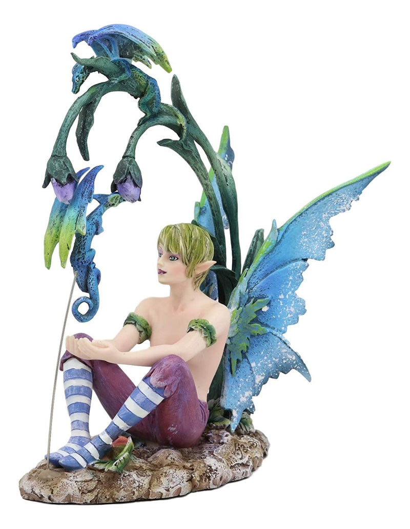 Ebros Gift Enchanted Fairy Garden Wild Boy Faerie Training His Pet Dragon Figurine Do It Yourself Ideas for Your Home Collectible Fairies Elf Nymph Pixies Fantasy Amy Brown Decor Sculpture