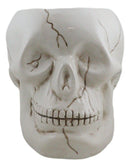 Ceramic Spooky Jointed Homosapien Human Skull Cereal Treat Soup Bowl 32oz