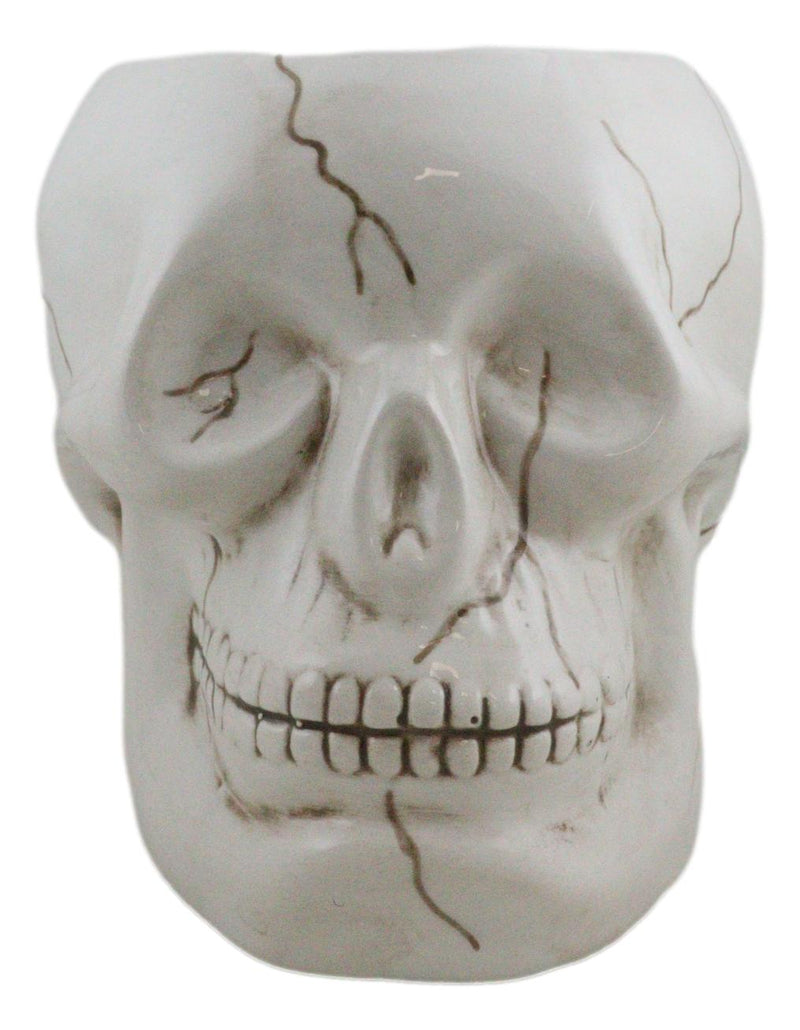 Ceramic Spooky Jointed Homosapien Human Skull Cereal Treat Soup Bowl 32oz