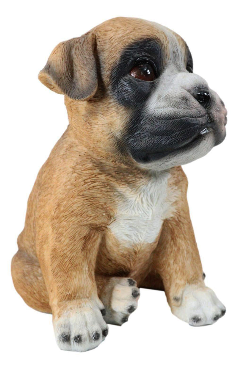 Lifelike Fawn Boxer Puppy Dog Sitting Figurine Pet Pal Pedigree Dogs Canine