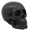 Ebros Charcoal Black Voodoo Skull Statue Cranium Decor Figurine Collectible