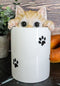 Ceramic Orange Tabby Cat Hiding and Peeking Dry Storage Jar with Paw Prints