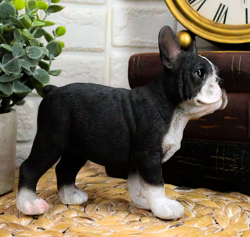 Realistic Lifelike Black French Bulldog Frenchie Puppy Dog Figurine Pet Pal