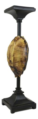 Large Nautical Reptile Exotic Turtle Shell Pillar Candle Holder Statue 17"High