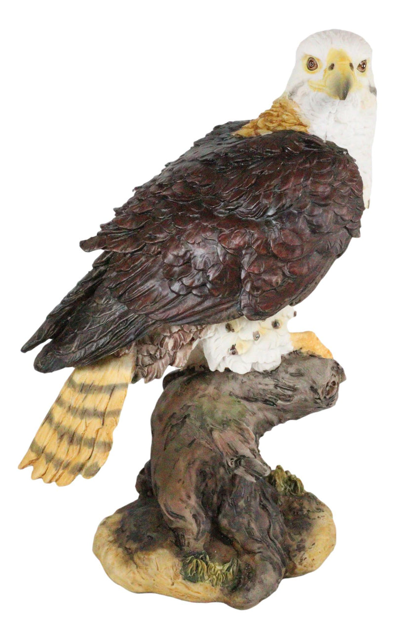 Ebros Wildlife Red Tailed Hawk On Tree Stump Statue Birds Of Prey Figurine 10"H