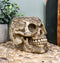 Day Of The Dead Celtic Tribal Tattoo Skull Pen Stationery Holder Figurine 4.5"L