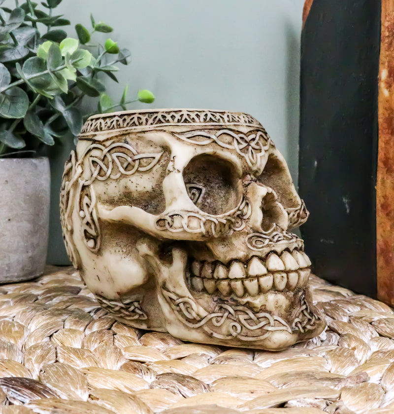 Day Of The Dead Celtic Tribal Tattoo Skull Pen Stationery Holder Figurine 4.5"L