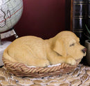 Ebros Lifelike Adorable Labrador Retriever Dog Sleeping in Wicker Basket Statue 6.25" Long Realistic Pet Pal Dog Breed Collectible Resin Decor Figurine
