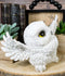 Tundra Forest Arctic White Snow Owl Fat Chick Flapping Its Wings Cute Figurine