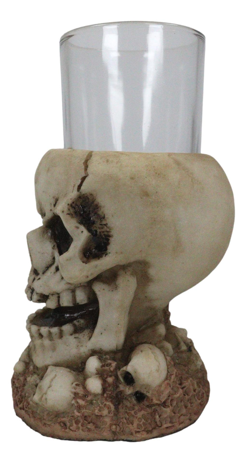 Grinning Giant Skull With Missing Tooth On Skulls Graveyard Shot Glass Shooter