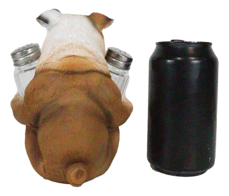 Ebros Big Bully English Bulldog Decorative Salt And Pepper Shakers Holder Set