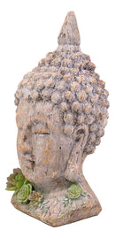Ebros Shakyamuni Buddha Gautama Ushnisha Head with Floral Succulents Statue 14.75" Tall in Aged Rustic Faux Wood Finish Amitabha Buddhism Bodhisattva Figurine Feng Shui Zen Altar Decoration