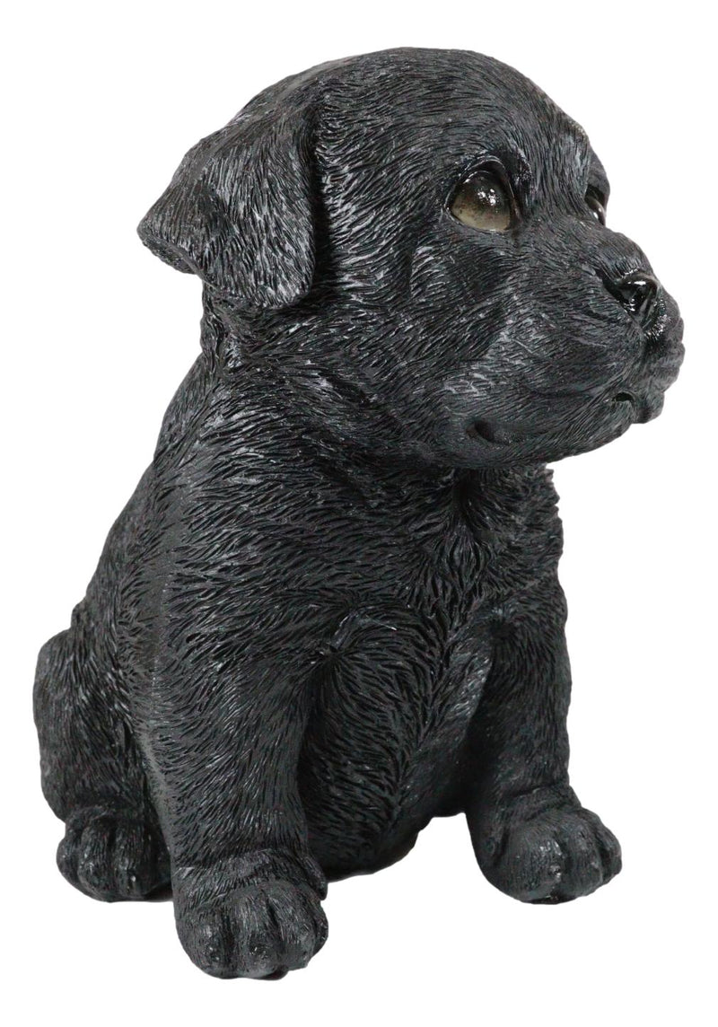 Sitting Adorable Black Labrador Retriever Puppy Dog Pet Pal Pooch Figurine