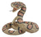 Lifelike Diamondback Rattlesnake Statue 6"H Realistic Snake Taxidermy Figurine
