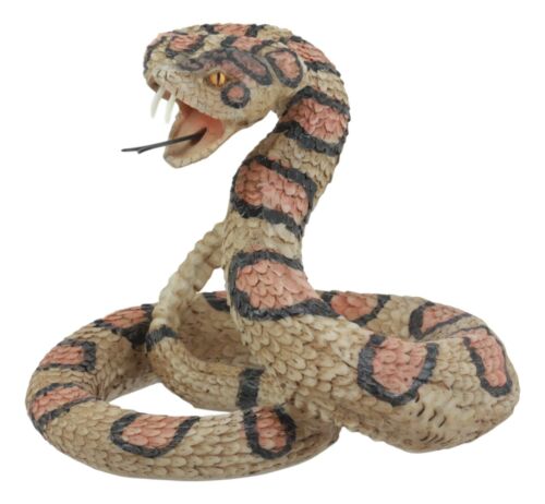 Lifelike Diamondback Rattlesnake Statue 6"H Realistic Snake Taxidermy Figurine
