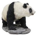 Ebros Realistic Lifelike Adorable China Asian Giant Panda Bear Decor Statue 10"Long