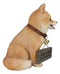 Adorable Pet Pal Pomeranian Puppy Dog With Jingle Collar And Plank Sign Statue
