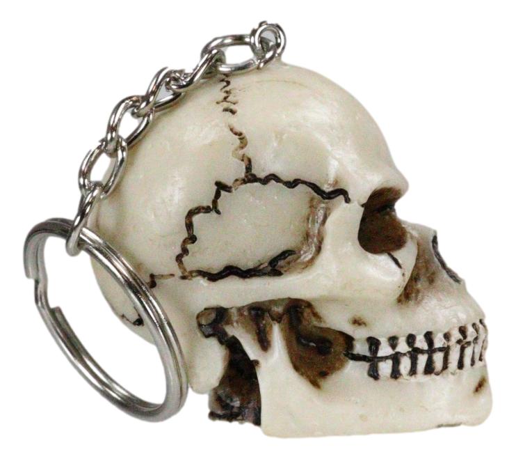 Pack of 12 Novelty Bone Colored Jointed Homosapien Cranium Skulls Keychains